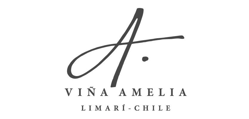 Viña Amelia