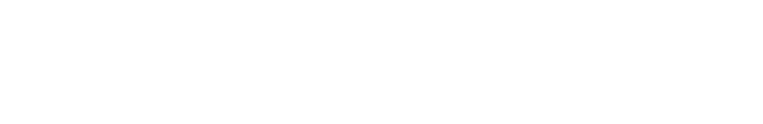 Viña Concha y Toro